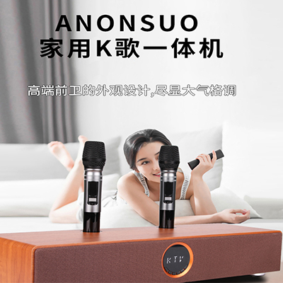 阿隆索家庭KTV音響套裝全套卡拉ok手機(jī)電視練歌客廳點(diǎn)歌一體機(jī)無(wú)線藍(lán)牙